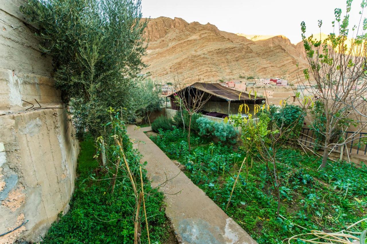 Les Jardins De Todgha Gorges De Todra Tinghir Aït Baha Exterior foto